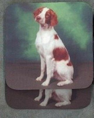Brittany Spaniel Rubber Backed Coasters 0673