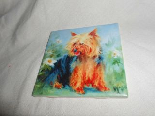 Silky Terrier 4 " X 4 " Ceramic Art Tile