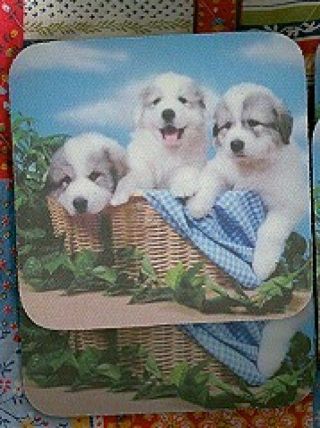 Great Pyrenees Puppies Rubber Backed Coasters 0927