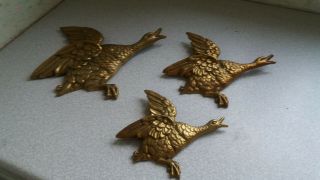 Set Of Three Large Graduated Vintage Retro Brass Flying Ducks - 1950 /60s