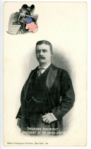 Political - Portrait Of Young Theodore Roosevelt - Arthur Livingston Postcard