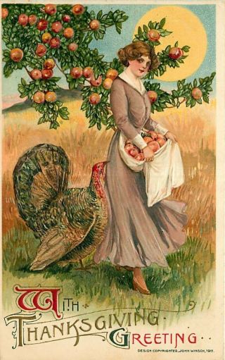 Embossed Winsch Schmucker Thanksgiving Postcard Woman Picking Apples & Turkey