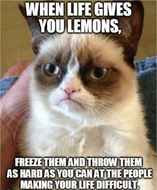 Funny Grumpy Cat When Life Refrigerator/tool Box/file Cabinet Magnet