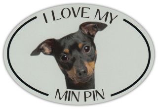 Oval Dog Breed Picture Car Magnet - I Love My Min Pin (miniature Pinscher)