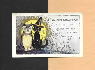 Black Cat W/witch Hat,  Owl,  Full Moon On Spooky Vintage Halloween Postcard