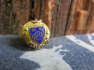 Vintage Epsilon Sigma Alpha Pledge Fraternity Enamel Lapel Pin Rp12