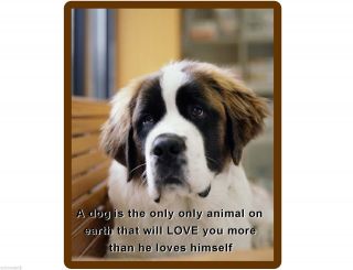 Saint Bernard Dog Refrigerator / Tool Box Magnet Gift Card Insert 2