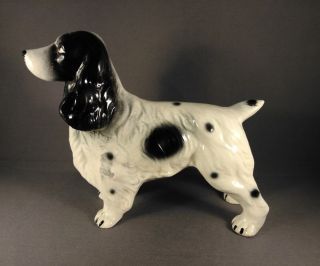 Spaniel Dog Figurine Black And White 5.  5 " X 6.  5 " Vintage Porcelain Ceramic