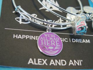 Disney Parks Alice In Wonderland Cheshire Cat Alex And Ani Two Bracelet Silver