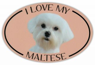 I Love My Maltese Car Magnet For Car Bumpers,  Refrigerators,  Gifts