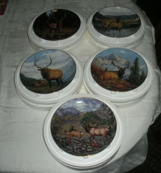 5 Danbury High Country Pride Plates By Bruce Miller