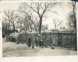 1926 Chicago Illinois Spring In The City By The Zoo Brings People Press Photo