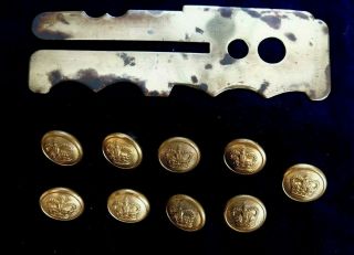 9 Vintage British Military Crown Brass Buttons & Brass Polishing Plate Blazer