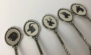 Set 5 Spoons Kruger Park Wild Tuin Collectible Wild Animal Theme South Africa