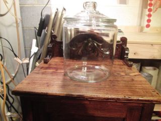 Large Glass Cracker/cookie Jar With Lid