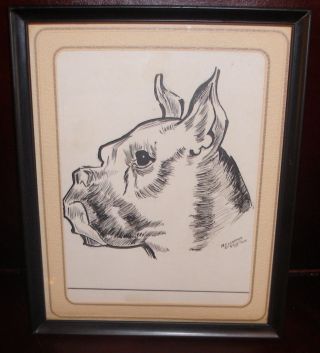 Vintage Boxer Dog Pup Mid Century Drawing Signed Artist M.  F.  Clapper 1963