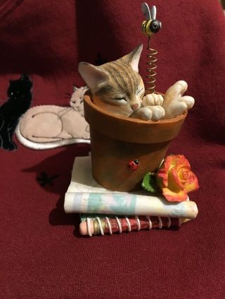 Country Artists Summer Snooze Cat Figurine Ca04621 3