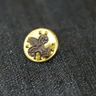 Boy Scouts Of America (bsa) Lapel Pin Fleur De Lis Eagle Scout Camping Bronze