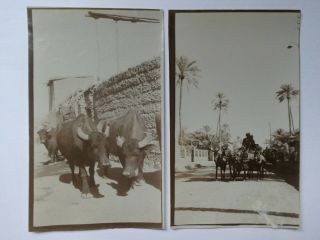 2 1920s Photos Of Baghdad Or Samarra,  Tigris,  Iraq,  Middle East