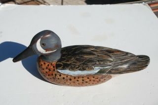 Blue - Winged Teal Duck Charles Moore Decoy Hand Carved/painted 1991,  Signed 10 "