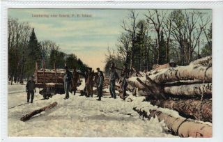 Lumbering Near Souris: Prince Edward Island Canada Postcard (c48026)