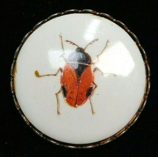 Antique Vtg Button Ceramic Beetle Bug Transfer In Brass C7