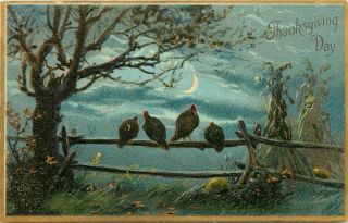 Tuck Embossed Postcard Thanksgiving Ser.  123 Turkeys On Fence In Moonlight,
