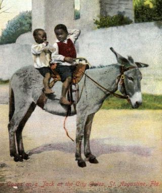 1910 Black Americana Two Coons On A Jack At City Gates St Augustine Postcard Ag