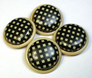 Set Of 4 Vintage Celluloid Buttons Ivory & Black Color Pattern - 15/16 "