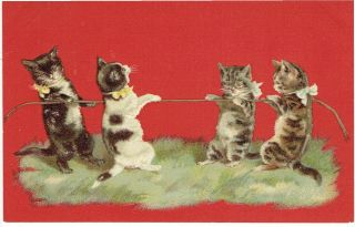 H Maguire Artist Old Postcard Anthropomorphic Cats Playing Tug Of War Embossed