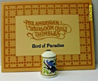 A Rare American Heirloom Quilt Bone China Thimble The - - Bird Of Paradise - -