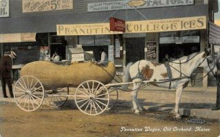 Old Orchard,  Me,  Horse Drawn Peanut Wagon,  Moxie & Other Adv Signs C 1907 - 14