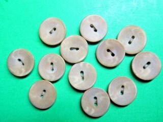 (12) Vintage 5/8 " Brown Vegetable Ivory 2 - Hole Buttons (r366)