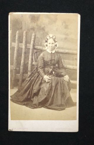 Antique G H Lawrence Victorian Photo Cabinet Card 1 - Severe Woman & Dog Puppy