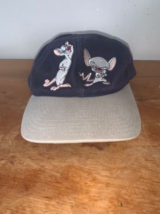 Vintage 1997 Pinky And The Brain Snapback Hat Warner Bros