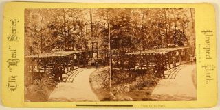 Prospect Park Brooklyn Ny View In The Park Arbor Stereoview 1800 