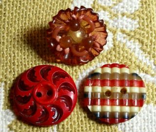 Vintage Celluloid Buttons Extruded,  Multicolored,  Carved