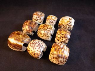 Seashell Napkin Rings Set Of 9 Spotted Tiger Cowrie Shells Nautical Decor