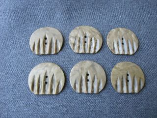 6 Vintage Art Deco Flapper Carved Marbled Brown Galalith Buttons