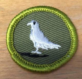Boy Scouts Pigeon Raising Merit Badge Type F Khaki Twill