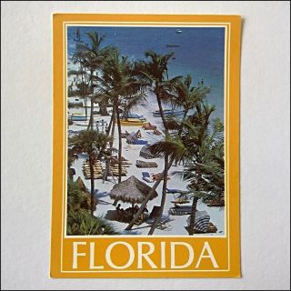 Florida Sandy Beach And Tropical Palm Trees Postcard (p420)