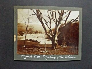 Victorian Irish Photograph (taken From Album) Moore 