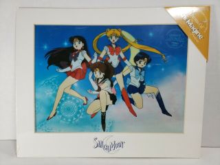Limited Edition Chroma - Cel By Ani - Magine,  Sailor Moon.  Never Opened
