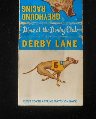 1970s Derby Lane Greyhound Racing Derby Club Kennel Club Dog St.  Petersburg Fl
