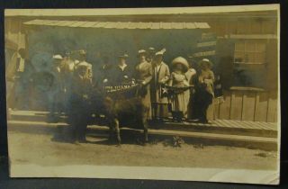Old Mexico Real Photo Pc,  White Star Tours Passengers Visiting Tijuana