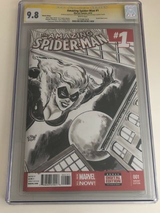 The Spiderman 1 Variant Edition Cgc 9.  8 Sketch & Signature Series.