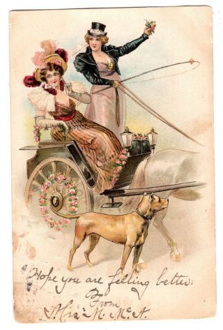 Victorian Ladies Postcard On Horse Carriage With Dog Postcard 1907