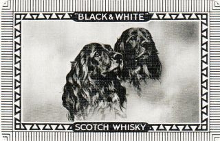 1 Swap Playing Card Black & White Scotch Whisky Black Spaniel Dogs - Rare