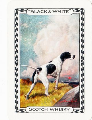 1 Wide Swap Playing Card Vintage Black & White Scotch Whisky English Setter Dog