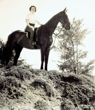 1936 Vintage Photo Actress Mary Astor Poses For Portrait Riding Horse